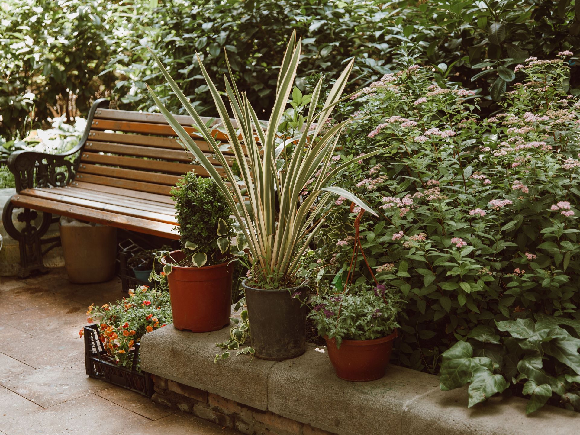 A serene outdoor scene with a wooden bench surrounded by various potted plants in a lush garden.